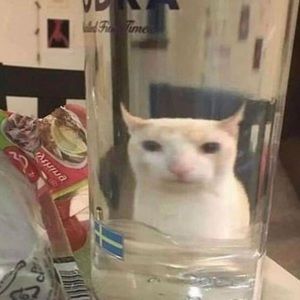 Meet your Posher, Bella